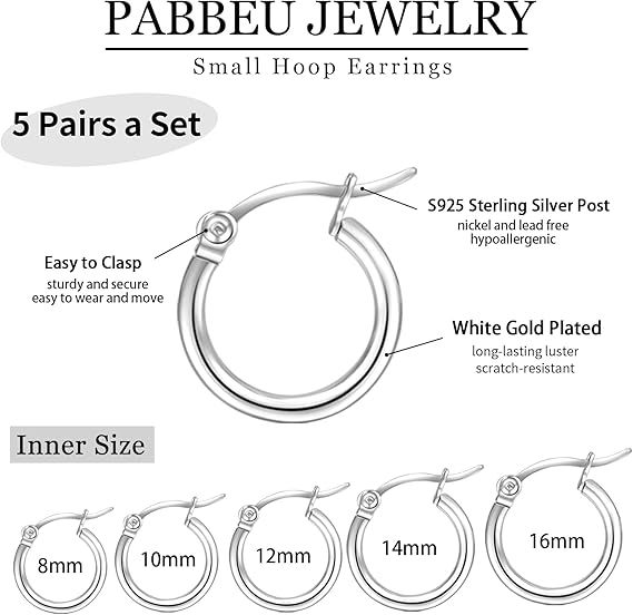 Small Hoop Earrings Set 2