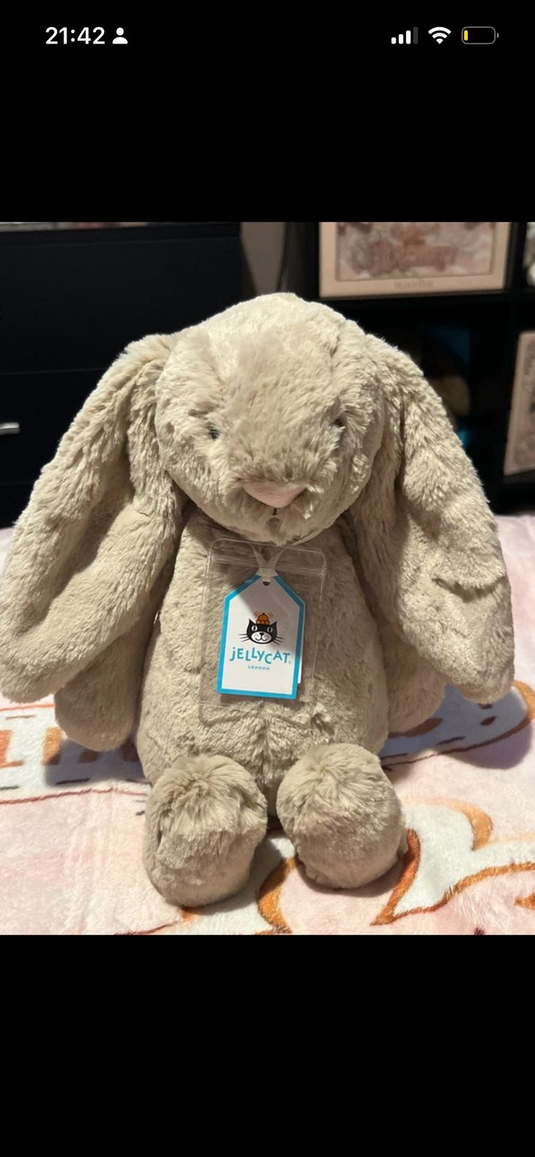 Jellycat Bashful Bunny Plush Toy