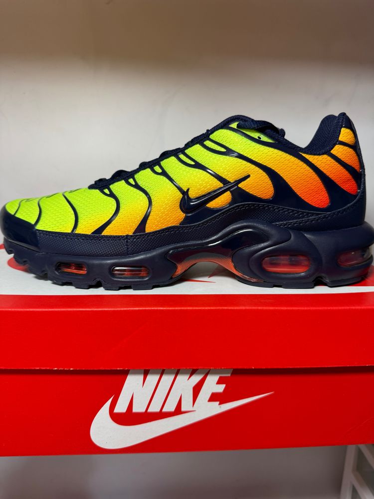 Nike Sneakers tn new 