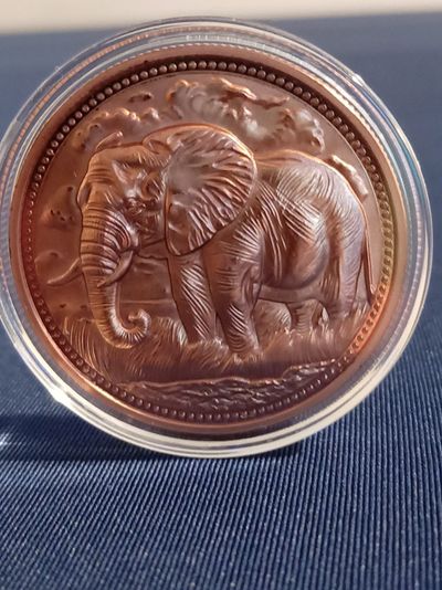 3D Copper Coin With Elephant Design