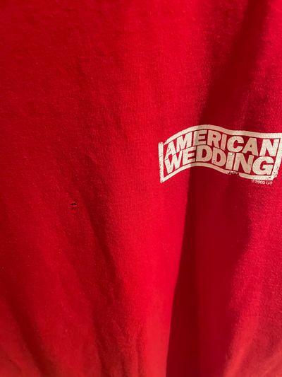 Hanes Heavyweight Red T-Shirt With American Wedding Print 3
