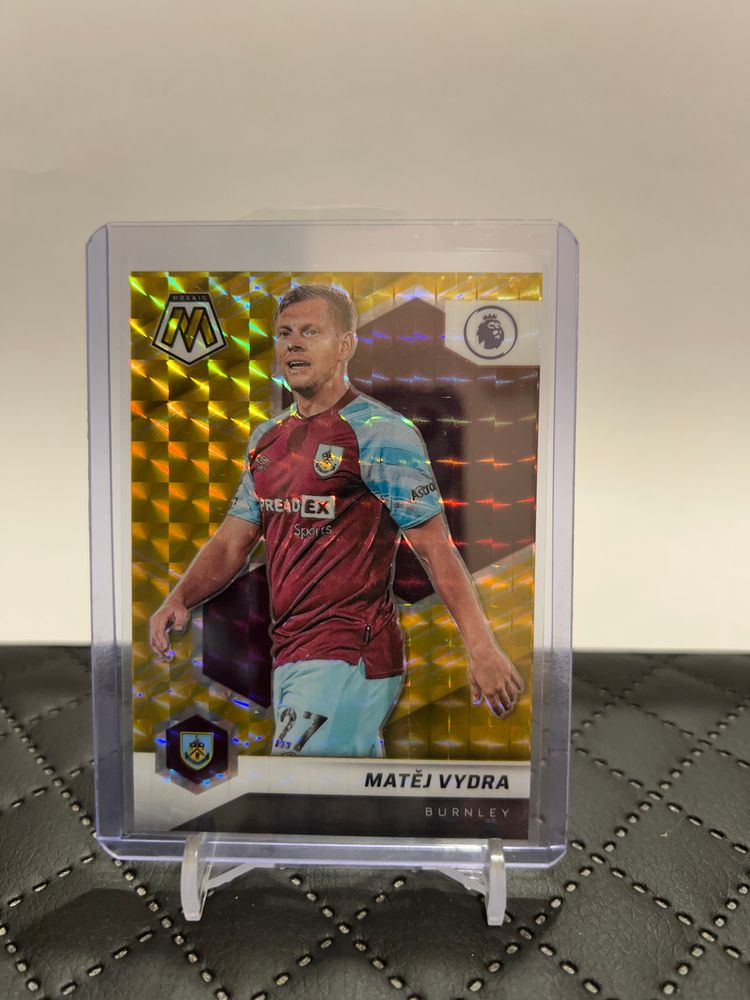 Panini Mosaic Vydra 8/10