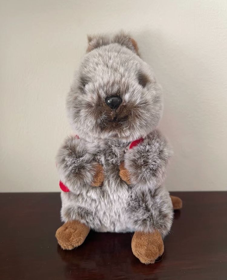 Other Plush Toy Squirrel product image