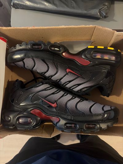 Nike Air Max Plus Sneakers