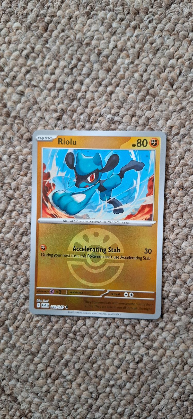 Pokémon Riolu Pokémon Card product image