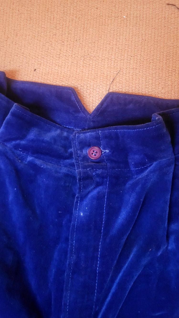 Blue Velvet Pants image 2