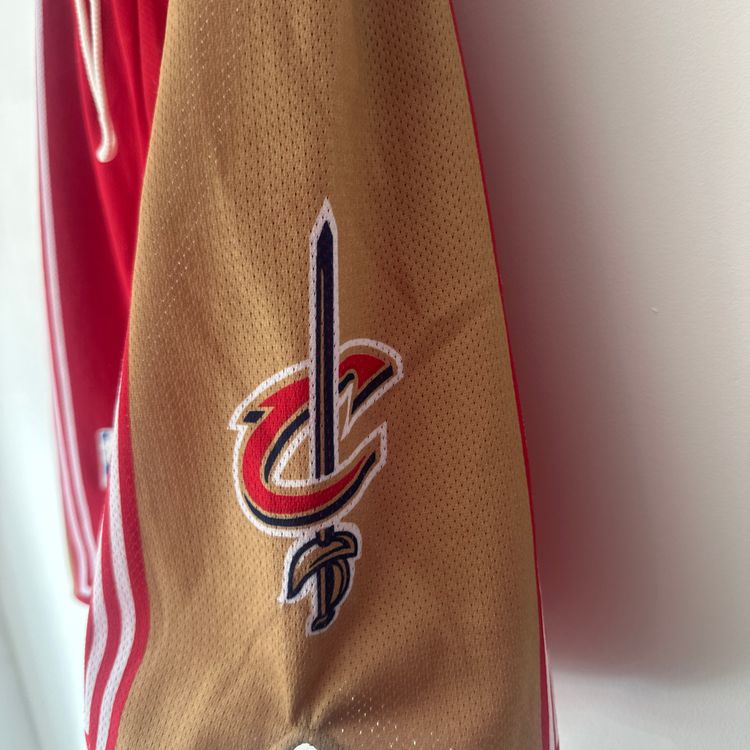 Cleveland Cavaliers Champion shorts - Large 4