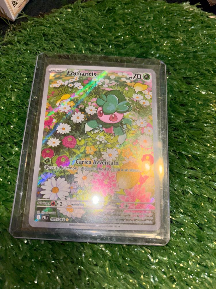 Fomantis 85/84 obraz 1