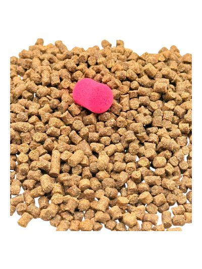 Victoria Sponge Complete Carp Bait Bundle 2kg 2