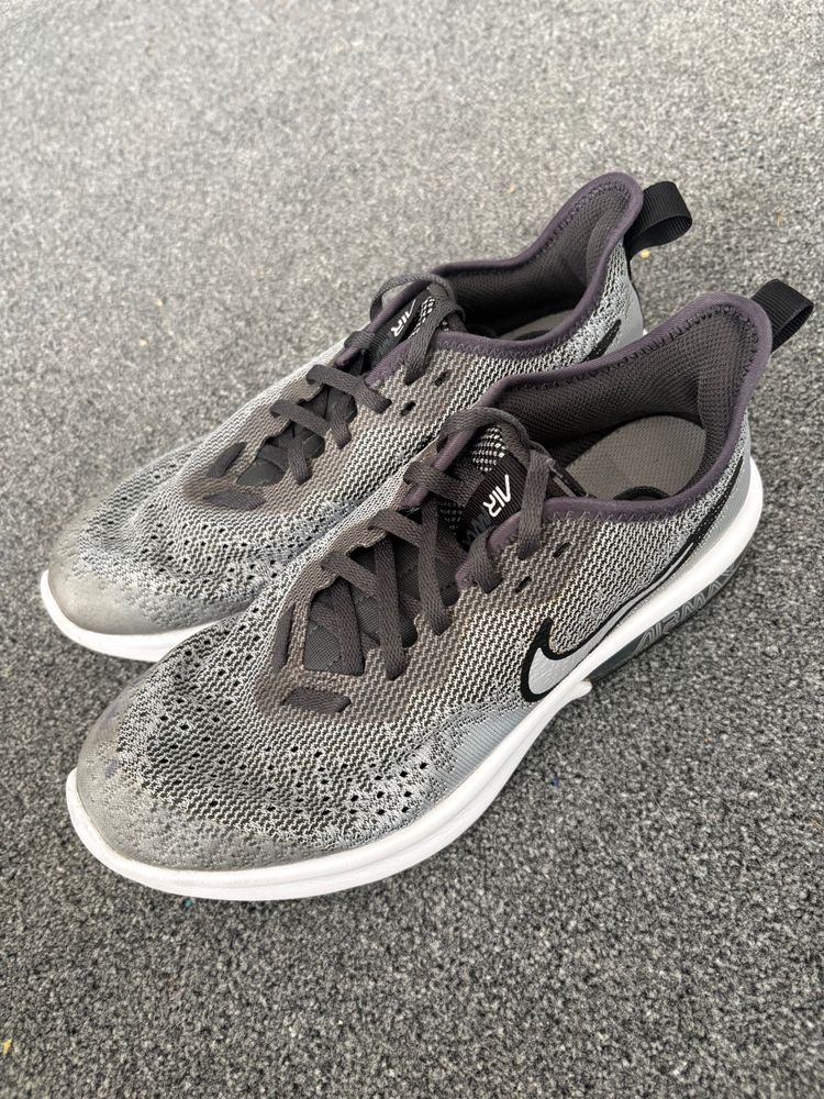 Nike Nike Air Max Sneakers product image