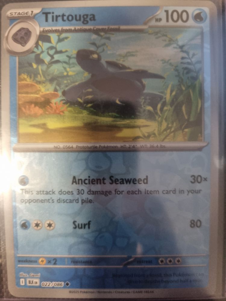 Pokémon Tirtouga Pokémon Card product image