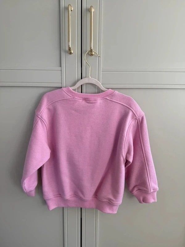 Immagine di Pink Sweatshirt 3