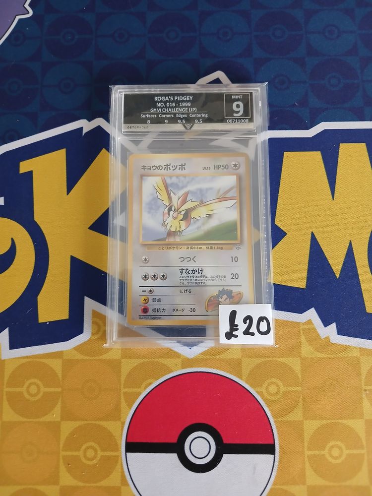 Koga'S Pidgey slab