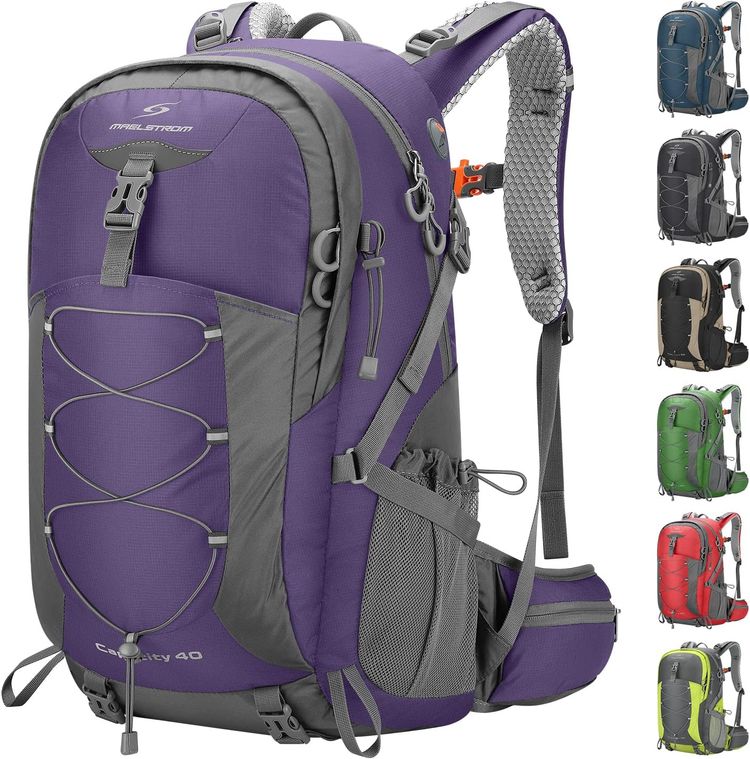 Purple And Gray Backpack image 1