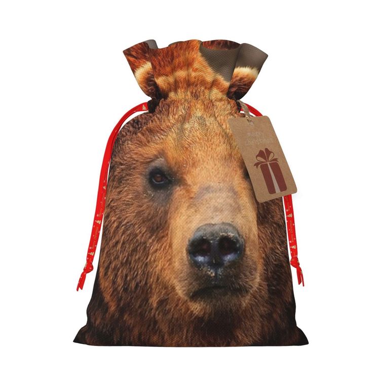 Pokemon Grizzly Dip Box 🐻🐻🐻