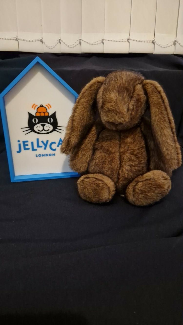 Jellycat Jellycat hoppleston luxe bunny BNWT  product image