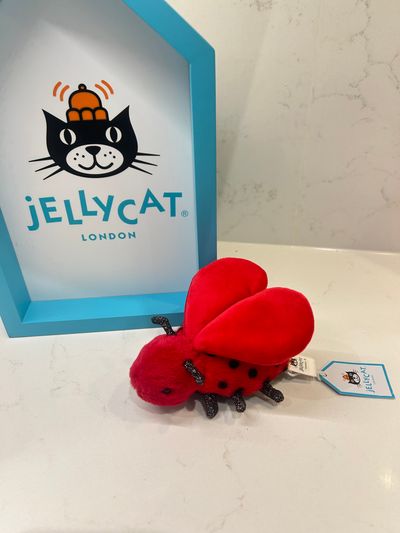 Jellycat LouLou Love Bug BNWT retired