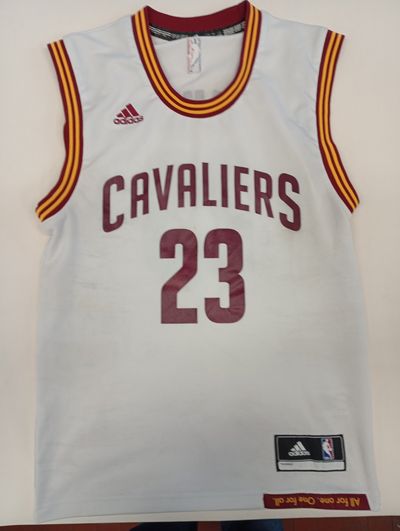 Adidas Cavaliers LeBron James Basketball Jersey