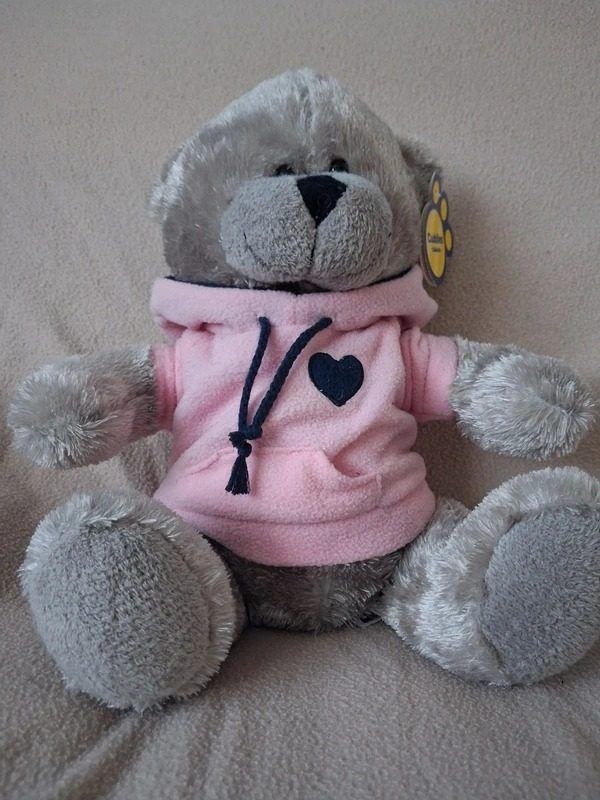 Plush Teddy Bear With Pink Hoodie image 1