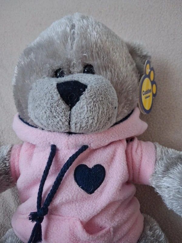 Plush Teddy Bear With Pink Hoodie image 2