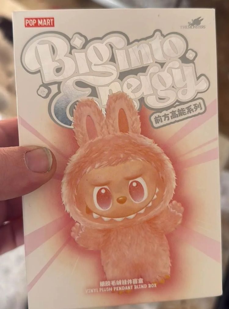 POP MART THE MONSTERS Big into Energy Vinyl Plush Pendant Blind Box