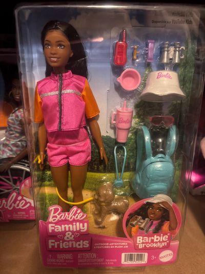 Barbie Family & Friends Barbie Brooklyn Doll