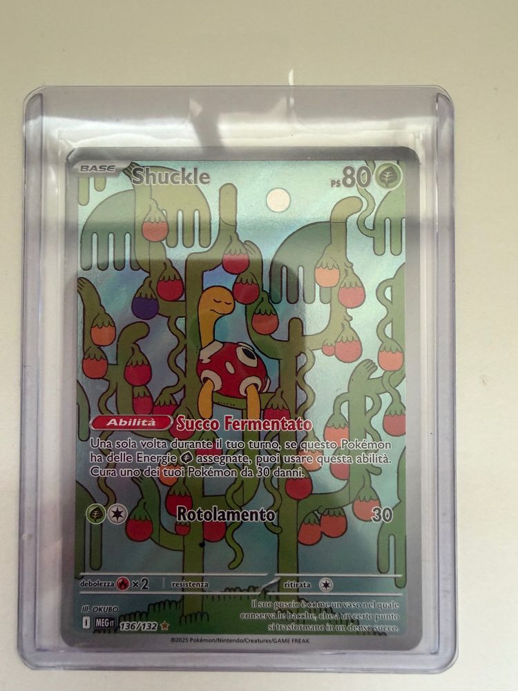 Shuckle Pokémon Card