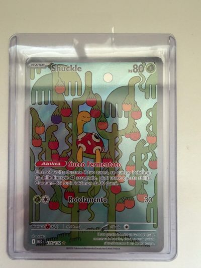 Shuckle Pokémon Card