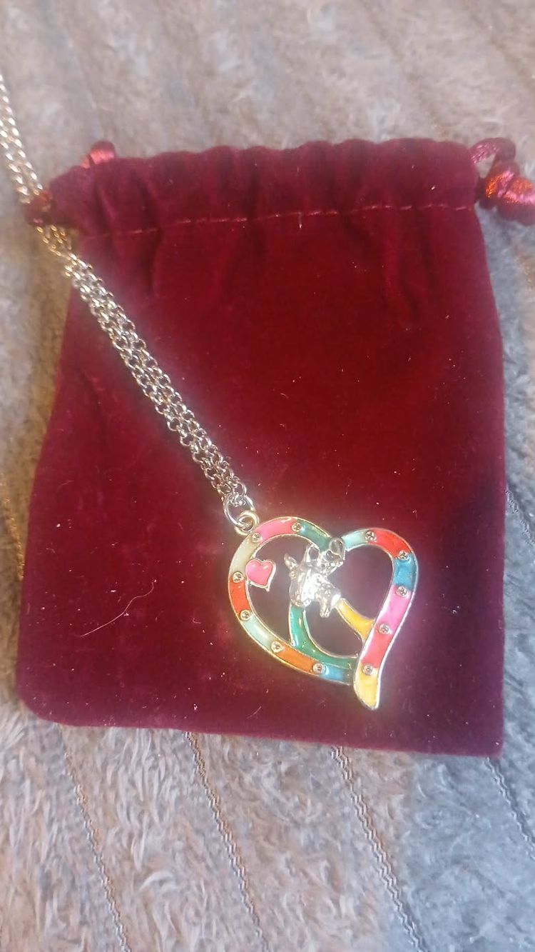 Other Heart-Shaped Pendant Necklace product image