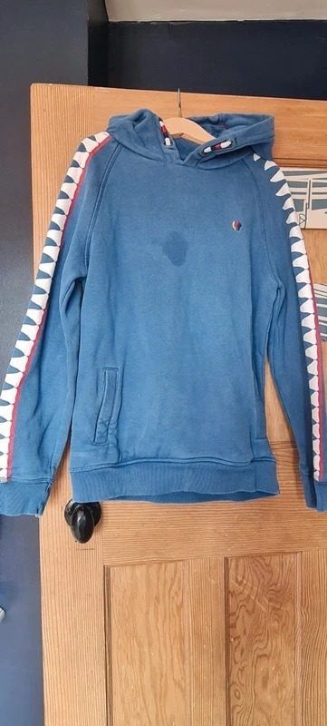 Champion Blue Hoodie image 1