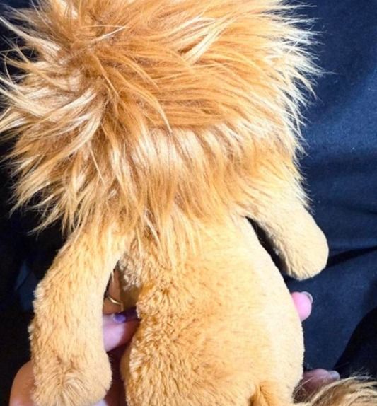 Immagine di Plush Lion Toy 3