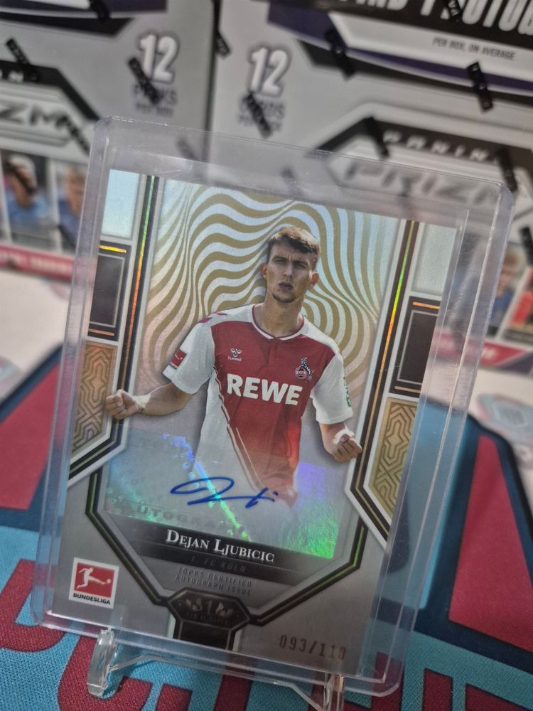 DEJAN LJUBIC AUTO 93/110 KOLN