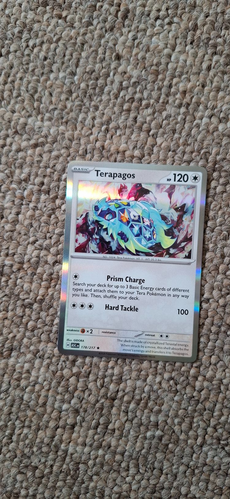Pokémon Terapagos Pokémon Card product image