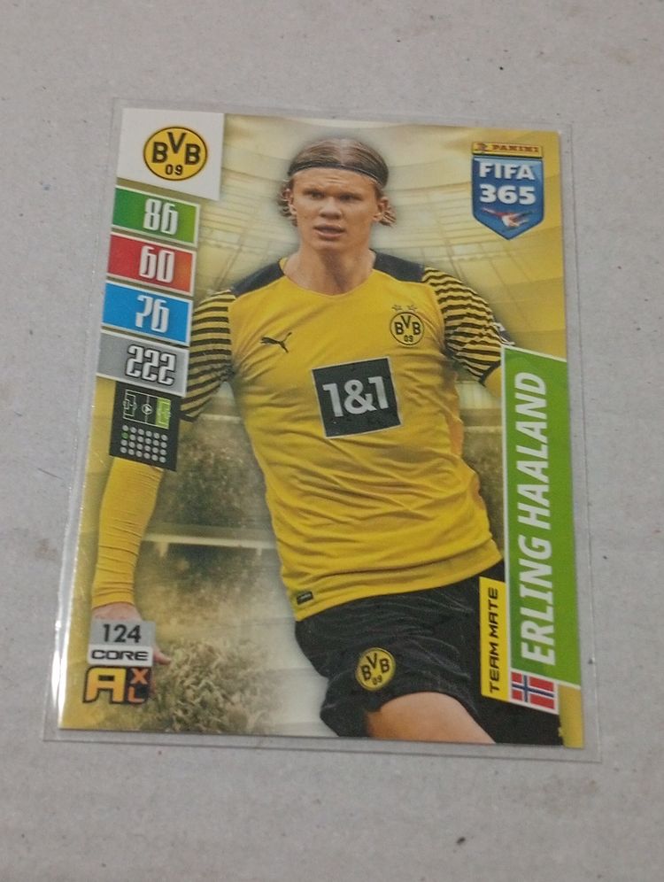 Erling Haaland. Borussia Dortmund. FIfa 365