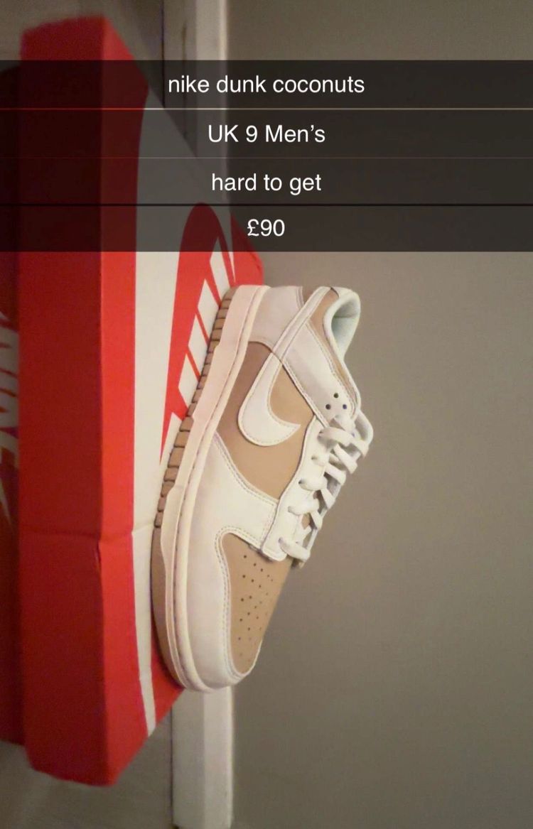 Nike Dunk Sneakers