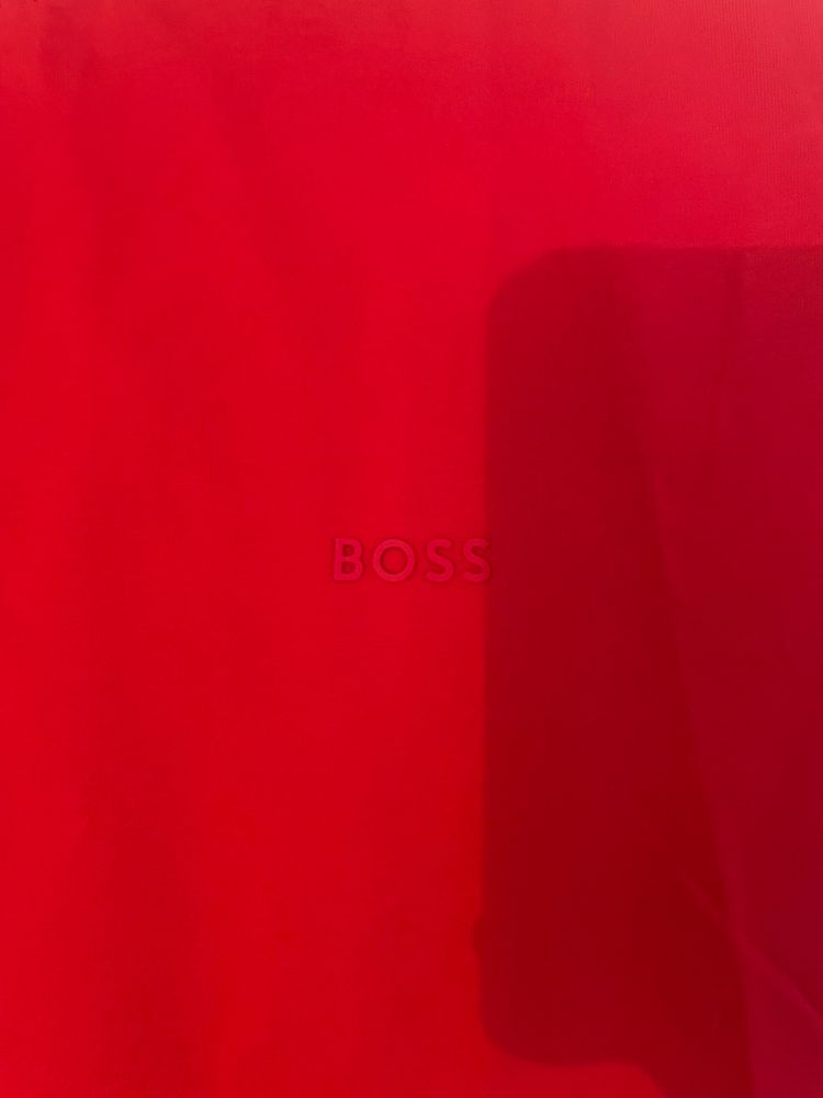 X3 Hugo Boss-Lacoste bundle Size Medium image 5