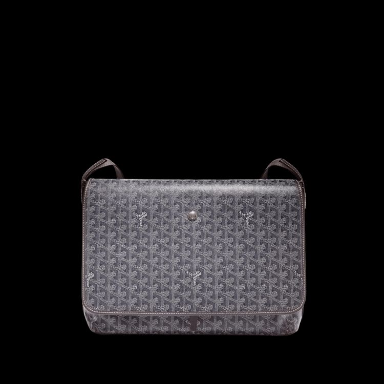 Goyard Capetien MM Messenger Bag Grey image 3