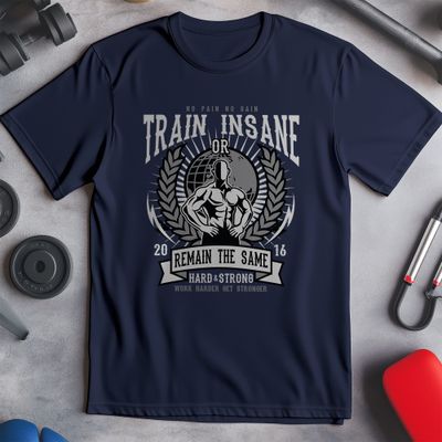 Train Insane or Remain the Same 2