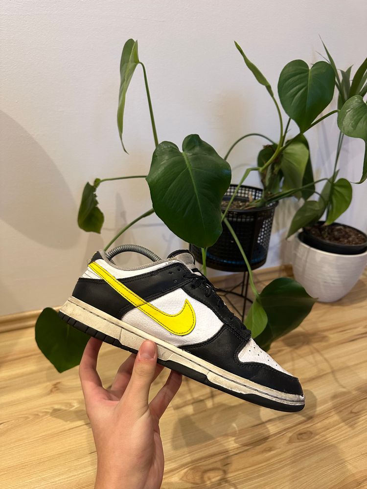 Nike Nike dunk product image