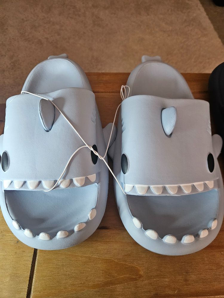 Grey Shark Design Slides/Blue slides