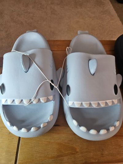 Grey Shark Design Slides/Blue slides