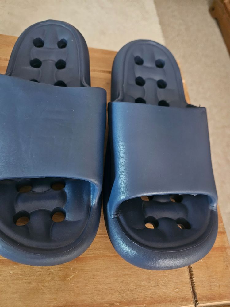 Grey Shark Design Slides/Blue slides 2