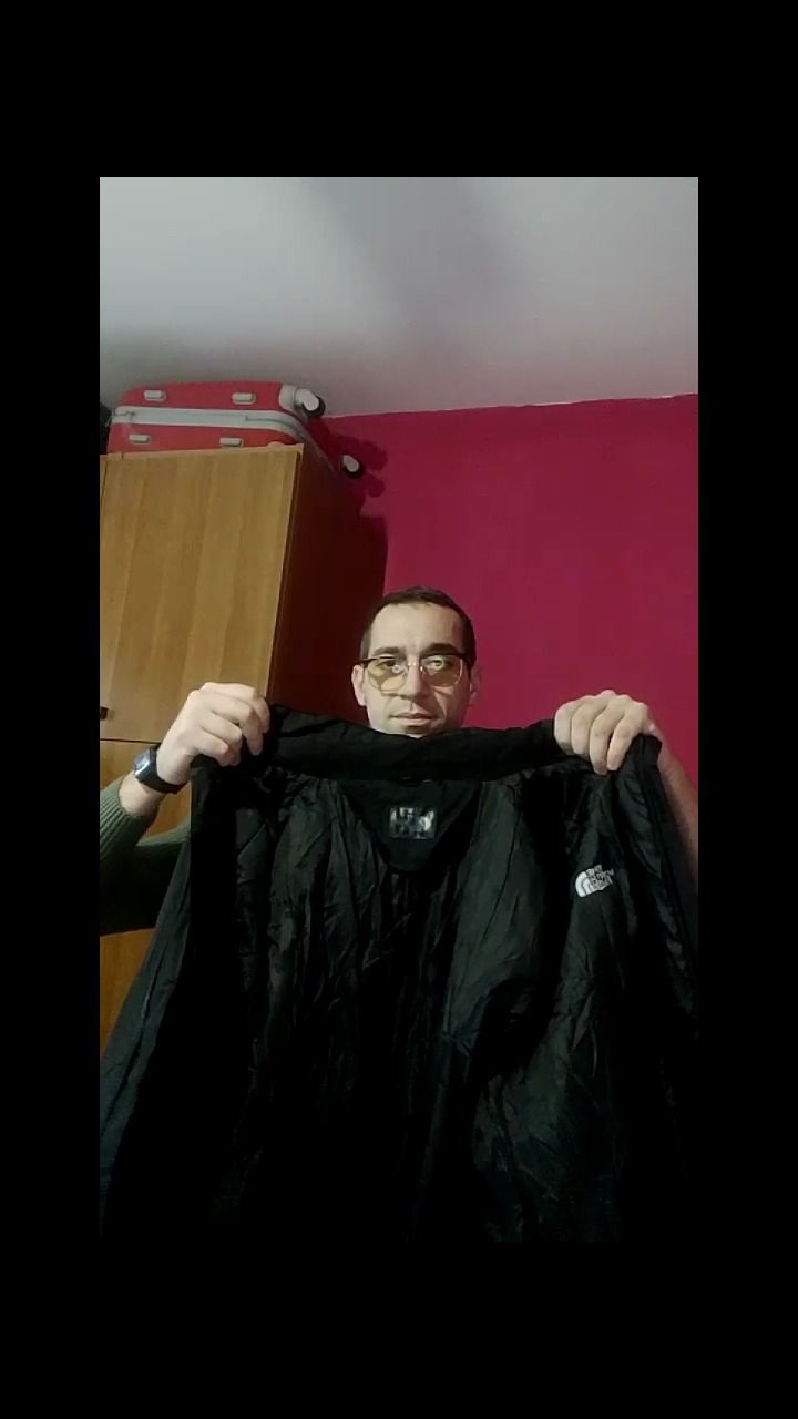 The North Face the north face product image