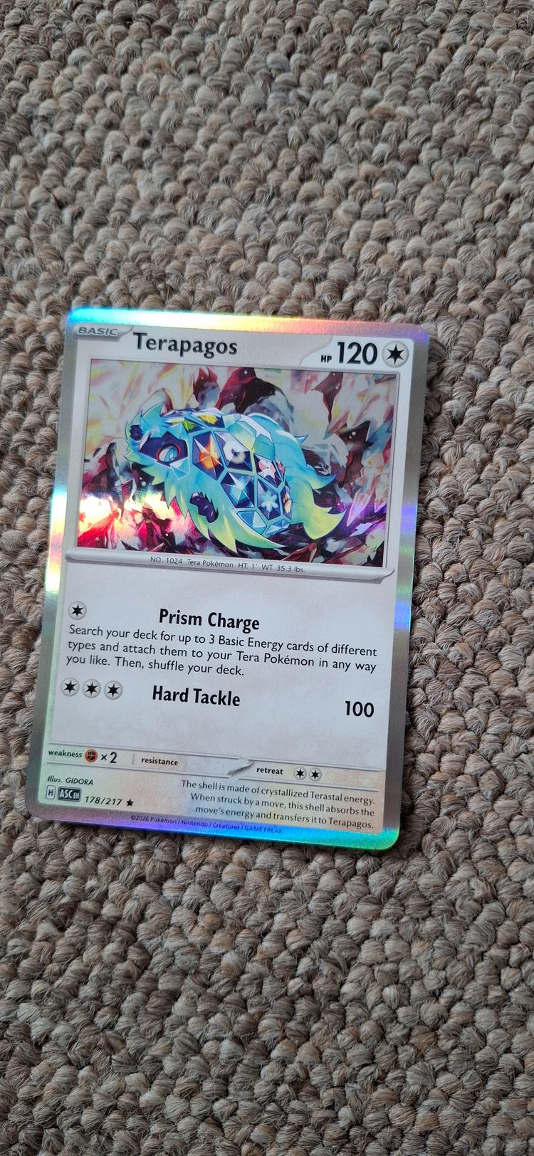 Pokémon Terapagos Pokémon Card product image