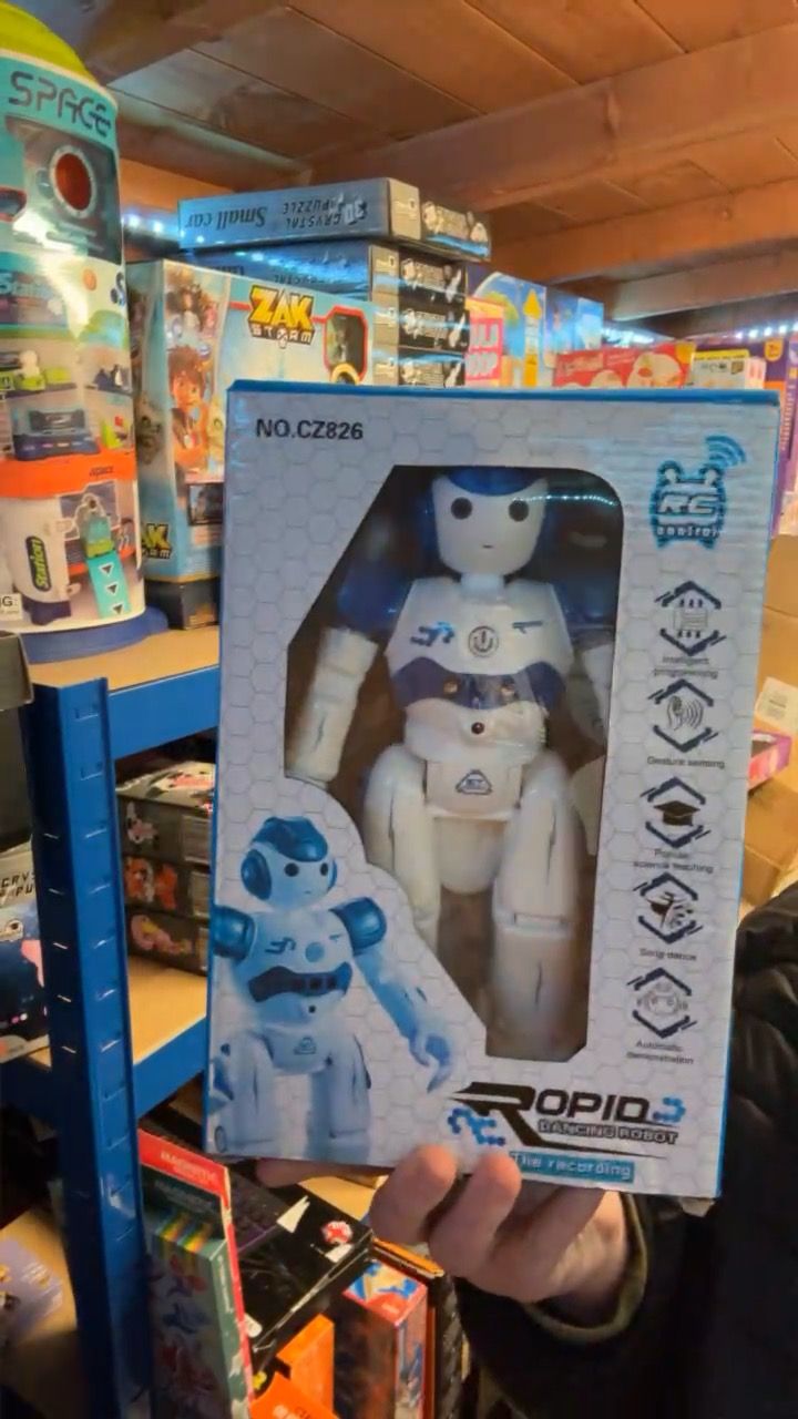 Other Interactive robot  product image