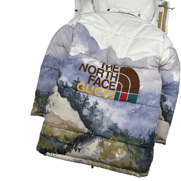 North Face X Gucci Mountain Print Down Filled Down Hooded Puffer Jacket - Small image 4