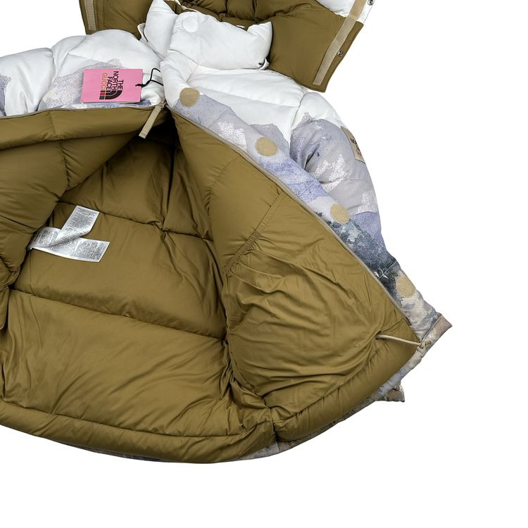North Face X Gucci Mountain Print Down Filled Down Hooded Puffer Jacket - Small image 3