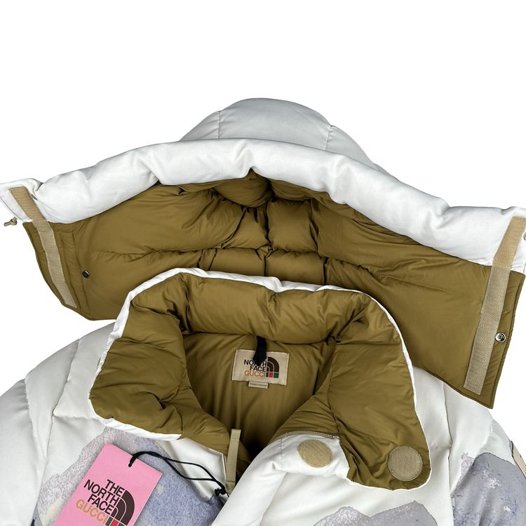 North Face X Gucci Mountain Print Down Filled Down Hooded Puffer Jacket - Small image 6