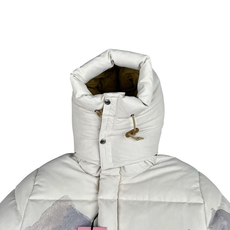 North Face X Gucci Mountain Print Down Filled Down Hooded Puffer Jacket - Small image 8