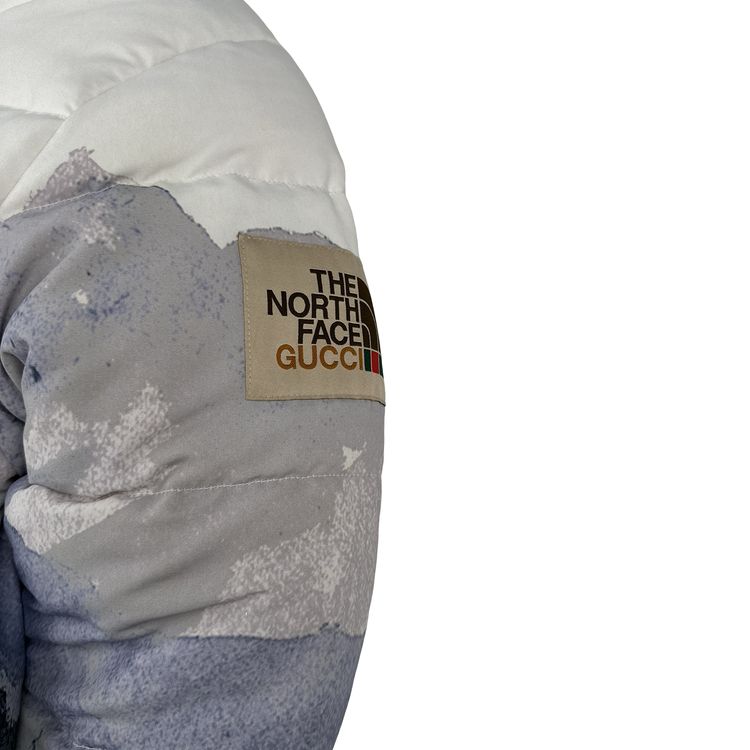 North Face X Gucci Mountain Print Down Filled Down Hooded Puffer Jacket - Small image 11